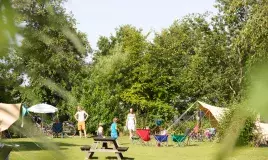 Lauwersoog camping