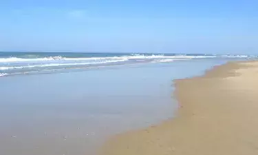 Cote sauvage la palmyre
